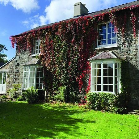 Pontyclerc Farm House Bed And Breakfast 阿曼福德 外观 照片