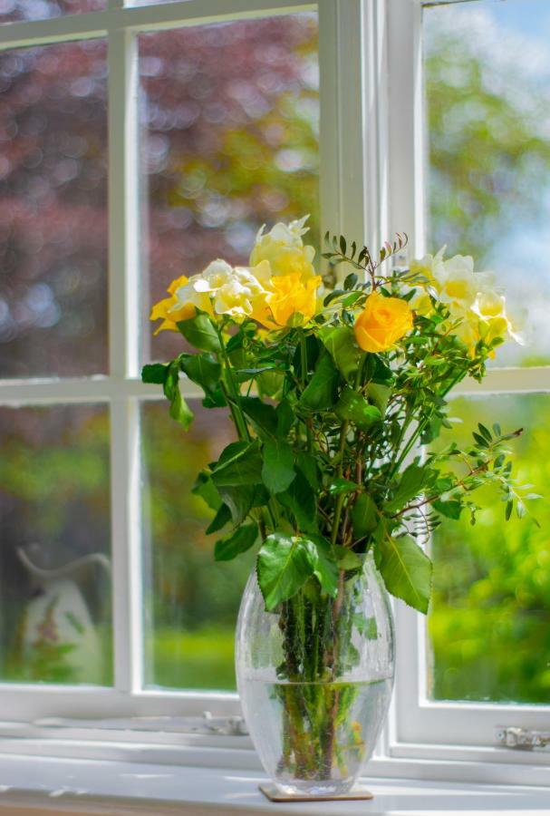 Pontyclerc Farm House Bed And Breakfast 阿曼福德 外观 照片